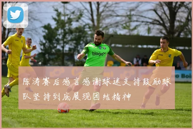 陈涛赛后感言感谢球迷支持鼓励球队坚持到底展现团结精神